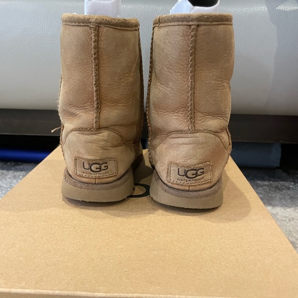 Classic II Weather Short Uggs - Toddler Size 12 - Picture 4 of 12